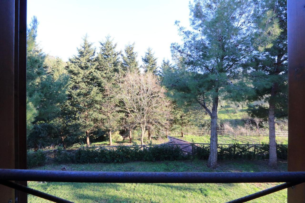 פורטו ארקולה Agriturismo Pimpinnacolo מראה חיצוני תמונה